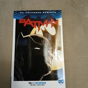 Batman Vol 1 I Am Gotham